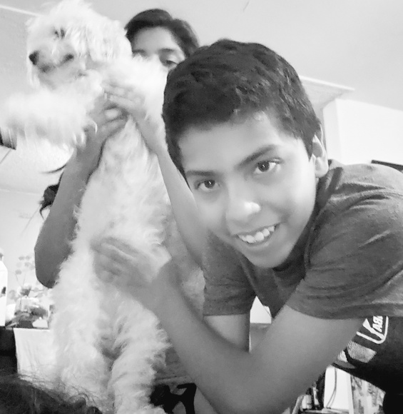 Meet your Posher, Ana - Picture 7 of 7